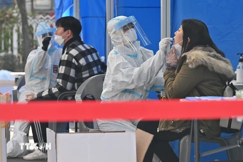 Nhân viên y tế lấy mẫu xét nghiệm COVID-19 cho người dân tại Seoul, Hàn Quốc ngày 27/11/2020. (Ảnh: AFP/TTXVN)