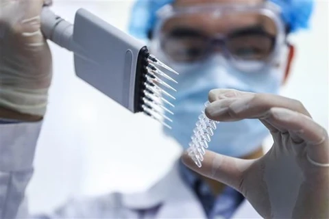 Nghiên cứu viên kiểm tra mẫu vắcxin phòng dịch COVID-19 tại nhà máy của Tập đoàn công nghệ dược phẩm quốc gia Trung Quốc ở Bắc Kinh. (Ảnh: THX/TTXVN) 