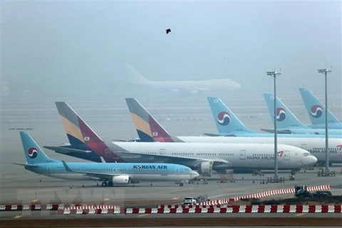 Máy bay của hãng hàng không Korean Air và Asiana Airlines tại sân bay quốc tế Incheon, Hàn Quốc. (Ảnh: Yonhap/TTXVN)