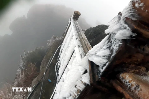 [Photo] Quảng Ninh: Băng giá trên đỉnh núi Cao Ly và chùa Đồng