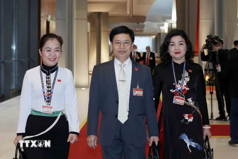 Các đại biểu đoàn Đảng bộ tỉnh Nghệ An đến dự phiên họp sáng 30/1. (Ảnh: TTXVN) 
