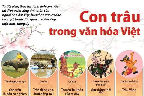 [Infographics] Hình tượng con trâu trong văn hóa Việt Nam