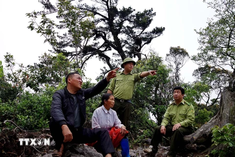 Vợ chồng ông Khà A Lứ cùng cán bộ Ban quản lý Khu Bảo tồn thiên nhiên kiểm tra rừng được giao. (Ảnh: Thanh Hải/TTXVN)