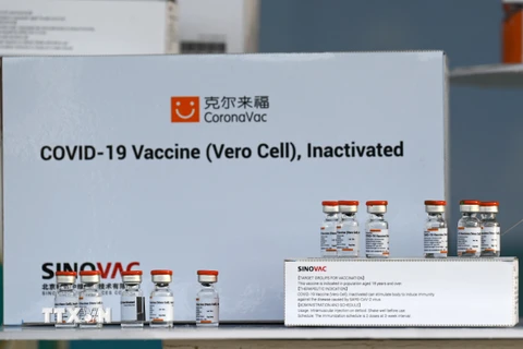 Các lọ vắcxin ngừa COVID-19 của Sinovac Biotech, Trung Quốc sau khi được chuyển tới Bangkok, Thái Lan ngày 24/2/2021. (Ảnh: AFP/TTXVN)