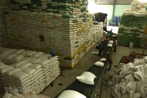 Chuẩn bị nguồn hàng gạo xuất khẩu tại Công ty Lương thực sông Hậu thuộc Tổng công ty Lương thực miền Nam. (Ảnh: TTXVN) 