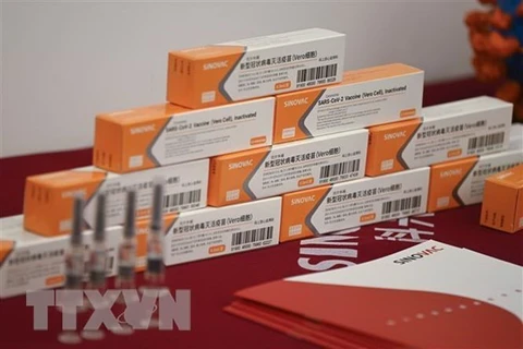 Vắcxin ngừa COVID-19 của Sinovac, Trung Quốc. (Ảnh: AFP/TTXVN)