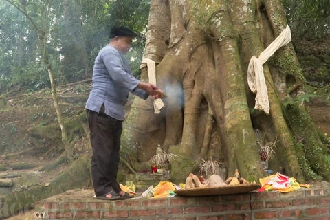Thầy cúng làm lễ cúng rừng của người Mông huyện Si Ma Cai. (Nguồn: laocaitv.vn)
