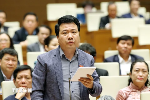 Đại biểu Quốc hội tỉnh Đắk Lắk Ngô Trung Thành phát biểu. (Ảnh: Dương Giang/TTXVN)