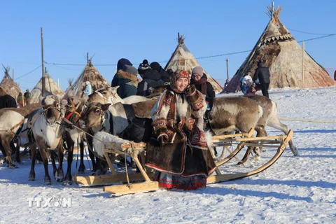 Lễ hội người chăn hươu được tổ chức vào đầu mùa Xuân hàng năm, là dịp để các dân tộc bản địa vùng phương Bắc thể hiện bản sắc văn hóa độc đáo. (Ảnh: Trần Hiếu/TTXVN)