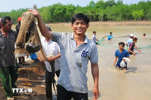 Niềm vui của một người dân sau khi bắt được cá tại lễ hội Phá Bàu. (Ảnh: K GỬIH/TTXVN)