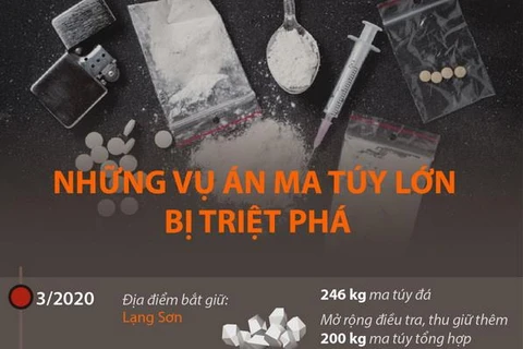[Infographics] Những vụ án ma túy lớn bị triệt phá từ năm 2020 đến nay