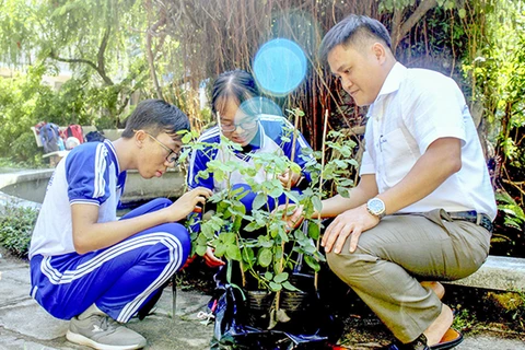 Thầy giáo hướng dẫn cùng Thái và Ngân nghiên cứu cây hoa hồng. (Nguồn: Báo Khánh Hòa)