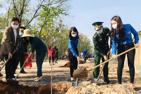 Thanh niên Quảng Trị hưởng ứng Tết trồng cây. (Ảnh: Hồ Cầu/TTXVN) 