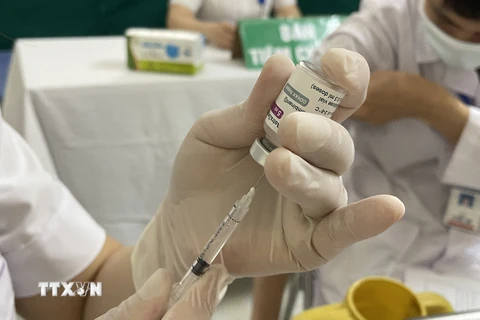 Toàn bộ vaccine phòng COVID-19 được bảo quản đúng quy cách, việc tập huấn đảm bảo an toàn tiêm chủng cũng đã được chuẩn bị kỹ từ trước. (Ảnh: Khiếu Tư/TTXVN) 