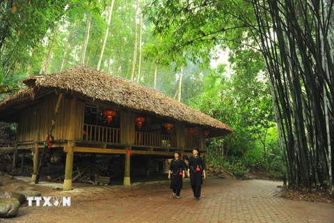 Tại làng Thái Hải, các ngôi nhà sàn dân tộc Tày, Nùng được dựng giữa không gian xanh mướt núi rừng thu hút những du khách thích cuộc sống yên bình. (Ảnh: Minh Đức/TTXVN) 