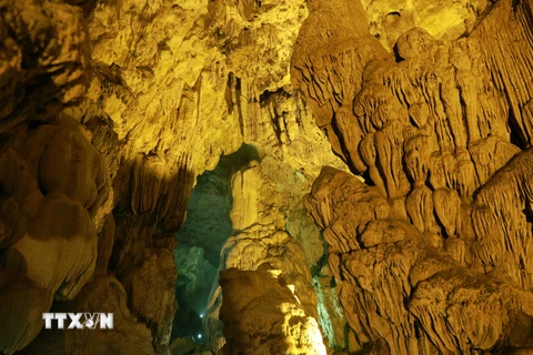 Động Ngườm Ngao có nhiều nhũ đá và măng đá với các hình dạng phong phú đa dạng, là một trong những hang động đẹp nổi tiếng tại Việt Nam. (Ảnh: Vũ Sinh/TTXVN)