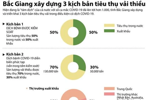 [Infographics] 3 kịch bản tiêu thụ vải thiều của Bắc Giang trong dịch