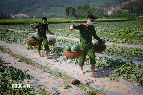 Hình ảnh những chiến sỹ công an hăng hái giúp dân dưới thời tiết nắng nóng khắc nghiệt trở nên thân thương trong chiến dịch phòng chống dịch của tỉnh Bắc Giang và cả nước. (Ảnh: Danh Lam/TTXVN) 