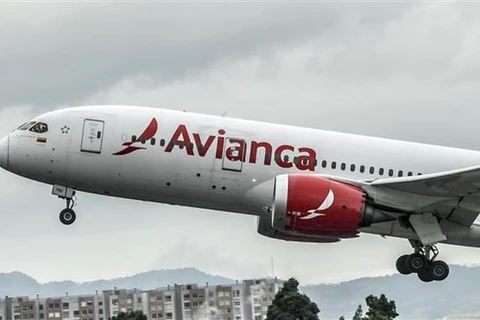 Máy bay của hãng hàng không Avianca tại sân bay quốc tế El Dorado ở Bogota, Colombia. (Ảnh: AFP/TTXVN)