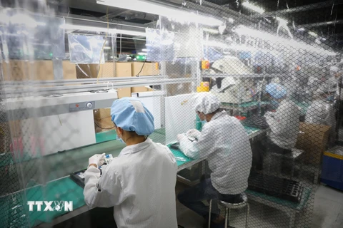 Khu sản xuất đông người có màn chắn để phòng, chống dịch tại Công ty TNHH Fuhong Precision Component. (Ảnh: Danh Lam/TTXVN) 