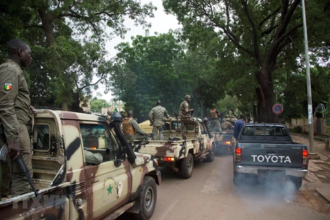 Binh sỹ Mali tham gia chiến dịch chống khủng bố. (Ảnh: AFP/TTXVN) 