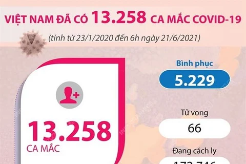 [Infographics] Việt Nam đã có gần 13.260 ca mắc COVID-19 