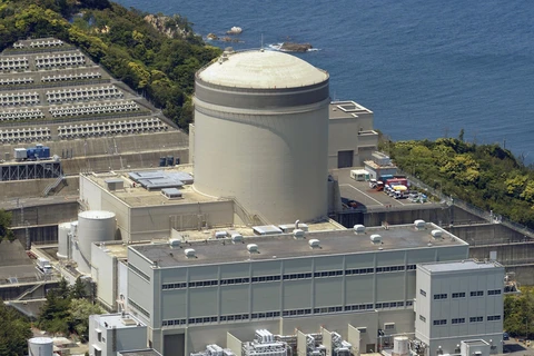Nhà máy điện hạt nhân Mihama. (Nguồn: Kyodo)