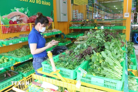 Phong phú mặt hàng rau xanh tại Cửa hàng Điện máy xanh thành phố Cao Lãnh trong ngày đầu giãn cách xã hội ở Đồng Tháp. (Ảnh : Nguyễn Văn Trí/TTXVN)