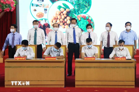 Các đại biểu chứng kiến lễ ký kết tiêu thụ sản phẩm giữa các Doanh nghiệp với các Hợp tác xã trồng nhãn. (Ảnh: Đinh Tuấn/TTXVN)