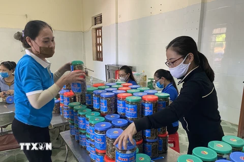 Người dân thị xã Cửa Lò (Nghệ An) chế biến cá khô rim cùng lạc rang, đóng thành hộp để hỗ trợ người dân Thành phố Hồ Chí Minh chống dịch COVID-19. (Ảnh: Tá Chuyên/TTXVN) 