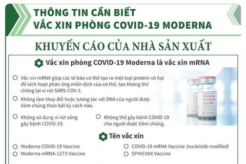 [Infographics] Thông tin cần biết về vaccine COVID-19 Moderna