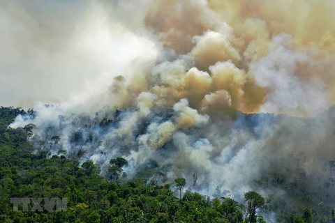 Khói lửa bốc lên từ đám cháy tại khu vực rừng Amazon ở bang Para State, Brazil ngày 16/8/2020. (Ảnh: AFP/TTXVN)