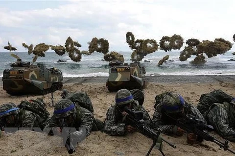 Binh sỹ Hàn Quốc và Mỹ tham gia cuộc tập trận đổ bộ chung tại Pohang, Hàn Quốc. (Nguồn: AFP/ TTXVN)