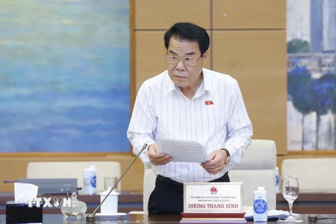 Trưởng ban Dân nguyện thuộc Ủy ban Thường vụ Quốc hội Dương Thanh Bình trình bày báo cáo. (Ảnh: Doãn Tấn/TTXVN)