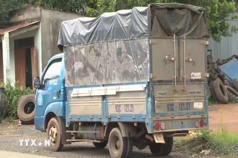 Chiếc xe tải chở 7 người trốn trong thùng xe thông chốt kiểm soát. (Ảnh: TTXVN phát)