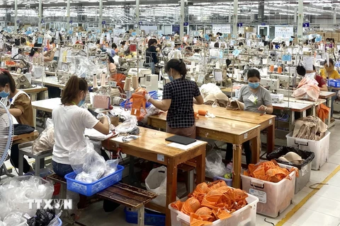 Công ty Scavi Huế (vốn đầu tư của Pháp tại Thừa Thiên-Huế) hoạt động trong lĩnh vực trang phục thời trang cao cấp đang từng bước khôi phục lại hoạt động sản xuất. (Ảnh: TTXVN)