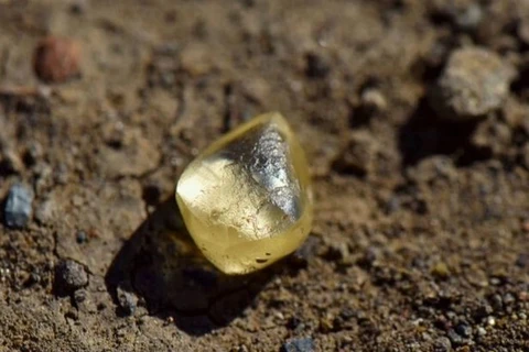 Viên kim cương được du khách tìm thấy. (Nguồn: mirror.co.uk) 