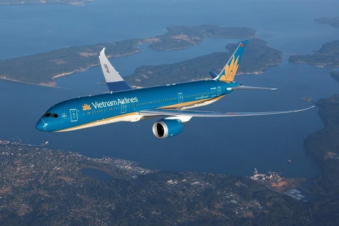 Máy bay của hãng hàng không Vietnam Airlines. (Ảnh: CTV/Vietnam+) 