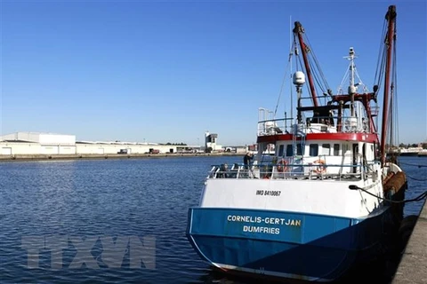 Tàu đánh cá Cornelis Gert Jan của Anh bị nhà chức trách Pháp bắt giữ và được đưa tới cảng miền Bắc Le Havre để phục vụ điều tra. (Ảnh: AFP/TTXVN) 