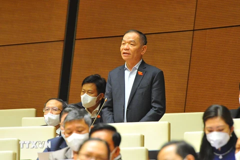 Đại biểu Quốc hội tỉnh Cà Mau Lê Thanh Vân phát biểu. (Ảnh: Minh Đức/TTXVN)