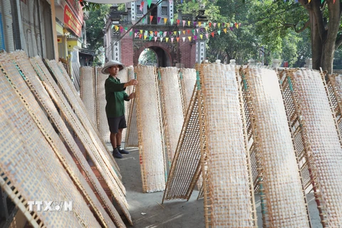 Khắp đường làng, ngõ xóm đâu đâu cũng thấy sự hiện diện của nghề truyền thống làm bánh đa nem. (Ảnh: Danh Lam/TTXVN) 