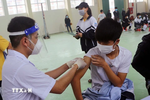 Tiến hành tiêm vaccine cho các học sinh trường THPT C Bình Lục, huyện Bình Lục Hà Nam. (Ảnh: Đại Nghĩa/TTXVN)