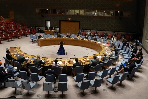 Một cuộc họp của Hội đồng Bảo an Liên hợp quốc. (Ảnh: AFP/TTXVN)