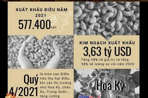 [Infographics] Xuất khẩu hạt điều của Việt Nam về đích sớm