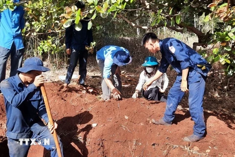 Đội K72 tổ chức đào tìm và cất bốc được 2 bộ hài cốt liệt sỹ tại ấp Núi Gió. (Ảnh: TTXVN phát)