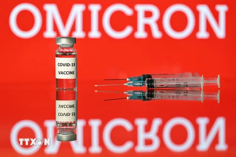 Hình ảnh minh họa vaccine ngừa biến thể Omicron. (Ảnh: AFP/TTXVN)