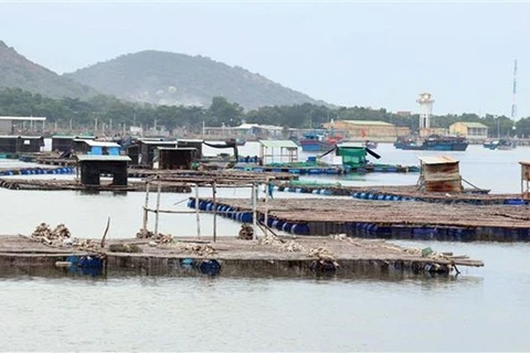 Phát triển nghề nuôi tôm trên biển của người dân ở huyện Ninh Hải. (Ảnh: Công Thử/TTXVN)
