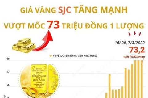 Giá vàng SJC tăng vũ bão, vượt mốc 73 triệu đồng mỗi lượng