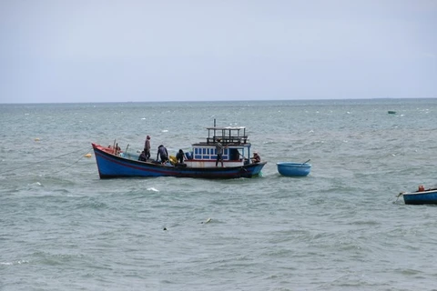 Ngư dân cần theo dõi bản tin thời tiết để kịp thời đưa tàu cá về nơi tránh trú an toàn. (Ảnh: TTXVN) 