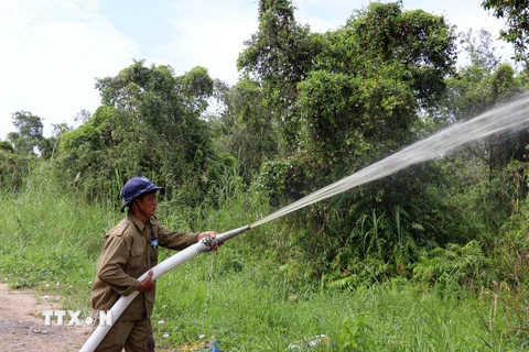 Vận hành máy bơm phun xịt nước phòng cháy, chữa cháy rừng trên lâm phần Vườn quốc gia U Minh Thượng (Kiên Giang). (Ảnh: Lê Huy Hải/TTXVN) 